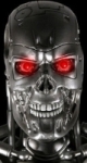 California's Terminator eyes budget cuts